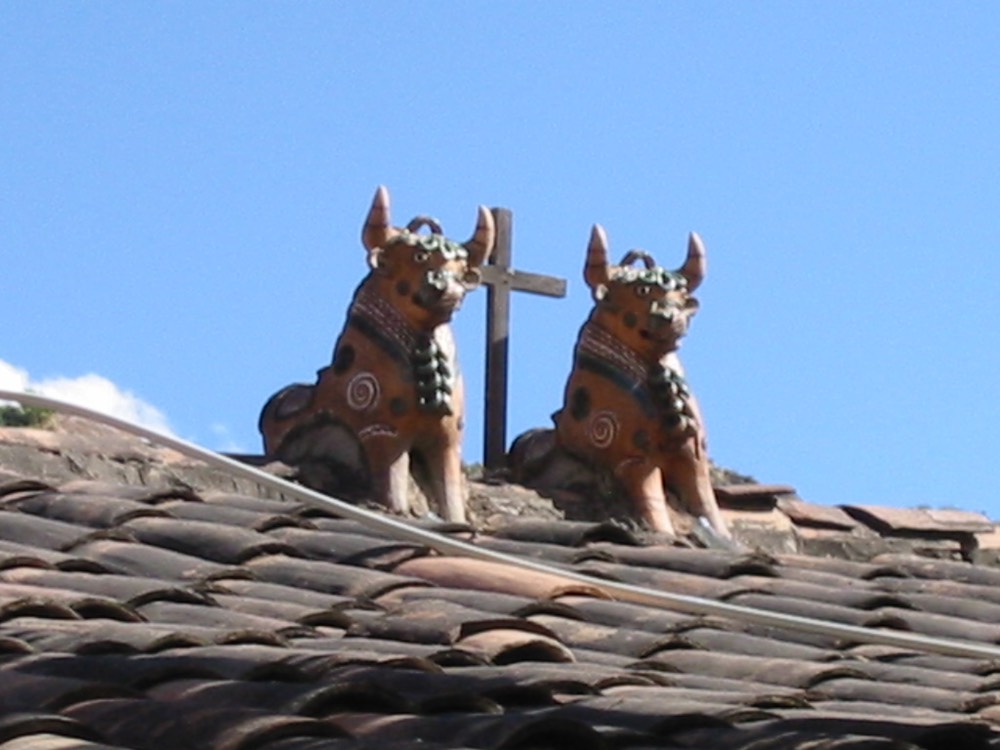 A079 Cusco Inca Ruin Trip Bulls