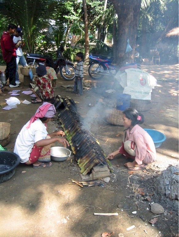 A114 Cambodia Battenbong Area