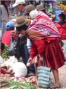 A146 Pisac crowds 4