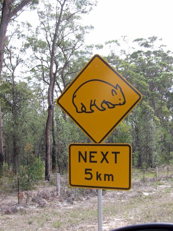 A202 Australia Wombat Sign