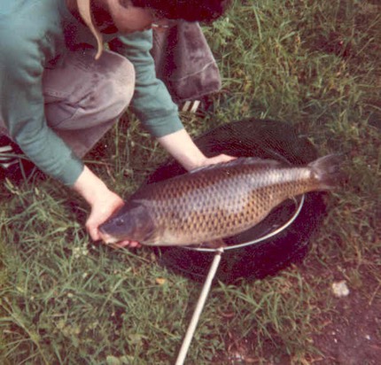 carp3