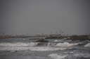 IMG_4835