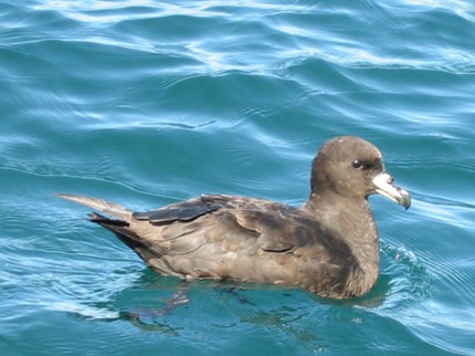 New Zealand Kaikoura